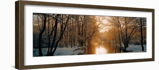 River Flowing Through a Forest-null-Framed Photographic Print