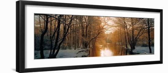 River Flowing Through a Forest-null-Framed Photographic Print