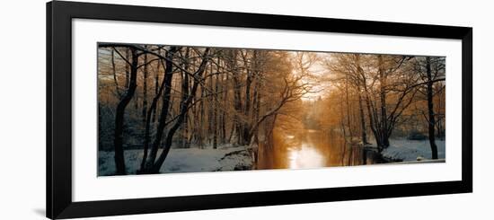 River Flowing Through a Forest-null-Framed Photographic Print