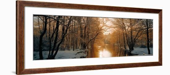 River Flowing Through a Forest-null-Framed Photographic Print