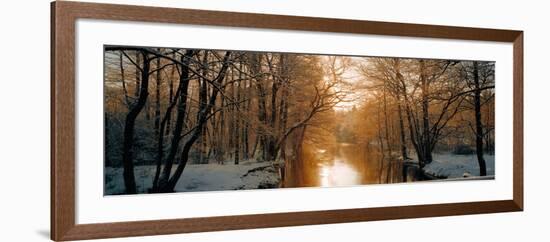 River Flowing Through a Forest-null-Framed Photographic Print