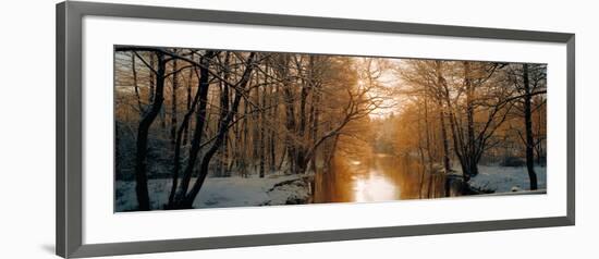 River Flowing Through a Forest-null-Framed Photographic Print