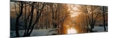 Photographic Print