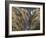 River Flowing Through Canyon, Lower Falls, Yellowstone River, Yellowstone National Park, Wyoming-Scott T. Smith-Framed Photographic Print