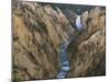 River Flowing Through Canyon, Lower Falls, Yellowstone River, Yellowstone National Park, Wyoming-Scott T. Smith-Mounted Photographic Print