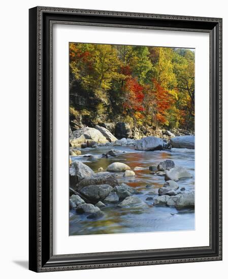 River Flowing Through Forest in Autumn, North Fork, Potomac State Forest, Maryland, USA-Adam Jones-Framed Photographic Print