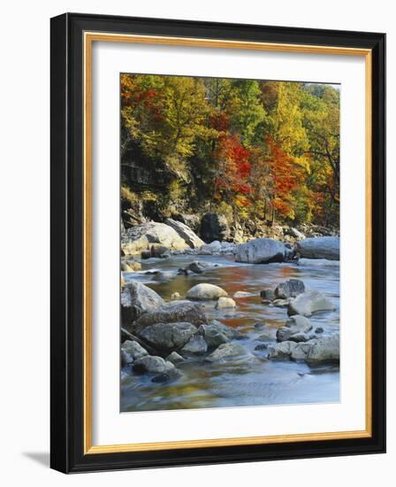 River Flowing Through Forest in Autumn, North Fork, Potomac State Forest, Maryland, USA-Adam Jones-Framed Photographic Print