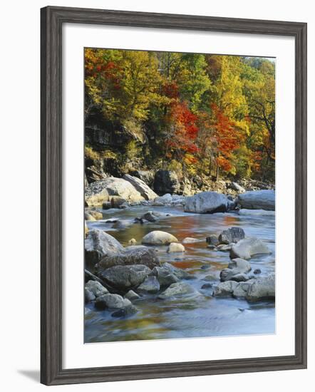 River Flowing Through Forest in Autumn, North Fork, Potomac State Forest, Maryland, USA-Adam Jones-Framed Photographic Print