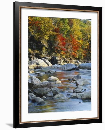 River Flowing Through Forest in Autumn, North Fork, Potomac State Forest, Maryland, USA-Adam Jones-Framed Photographic Print