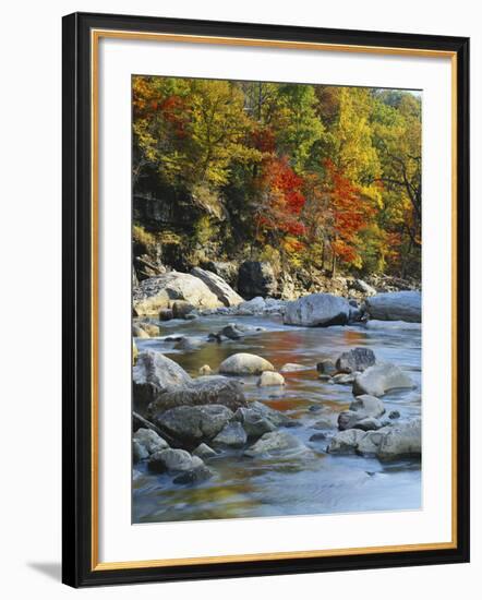 River Flowing Through Forest in Autumn, North Fork, Potomac State Forest, Maryland, USA-Adam Jones-Framed Photographic Print