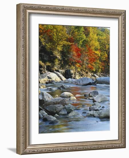 River Flowing Through Forest in Autumn, North Fork, Potomac State Forest, Maryland, Usa-Adam Jones-Framed Photographic Print