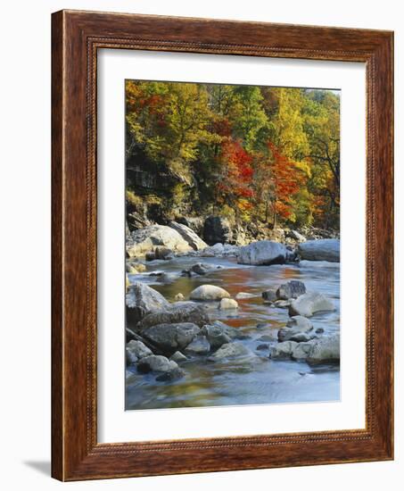 River Flowing Through Forest in Autumn, North Fork, Potomac State Forest, Maryland, Usa-Adam Jones-Framed Photographic Print