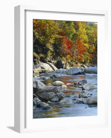 River Flowing Through Forest in Autumn, North Fork, Potomac State Forest, Maryland, Usa-Adam Jones-Framed Photographic Print