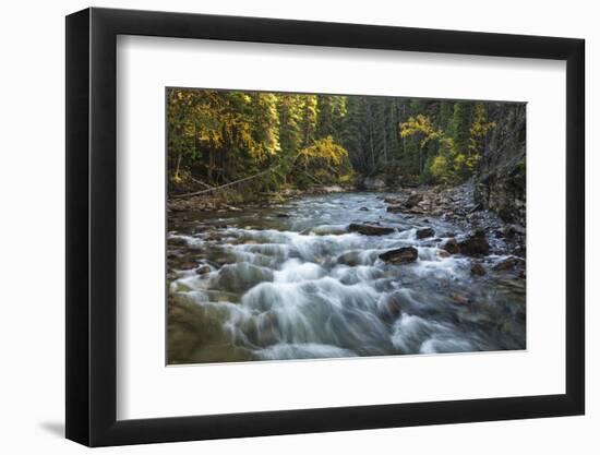 River flowing through Maligne Canyon with autumn foliage, Jasper National Park, UNESCO World Herita-Jon Reaves-Framed Photographic Print