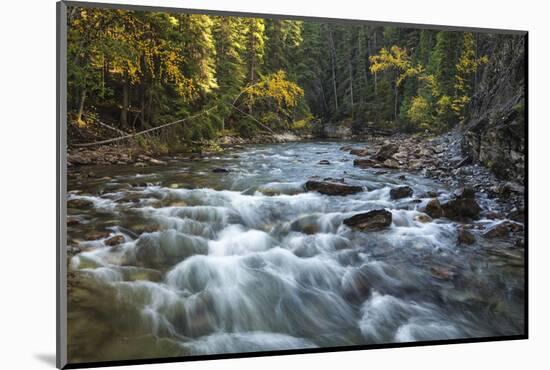 River flowing through Maligne Canyon with autumn foliage, Jasper National Park, UNESCO World Herita-Jon Reaves-Mounted Photographic Print