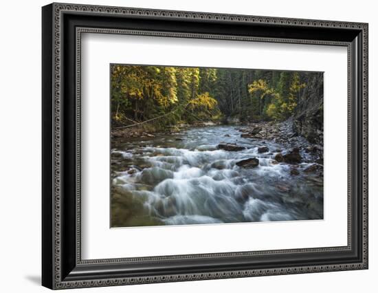 River flowing through Maligne Canyon with autumn foliage, Jasper National Park, UNESCO World Herita-Jon Reaves-Framed Photographic Print