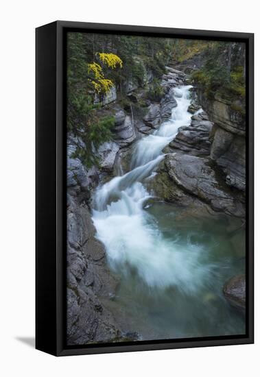 River flowing through Maligne Canyon with autumn foliage, Jasper National Park, UNESCO World Herita-Jon Reaves-Framed Premier Image Canvas