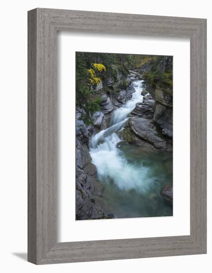 River flowing through Maligne Canyon with autumn foliage, Jasper National Park, UNESCO World Herita-Jon Reaves-Framed Photographic Print