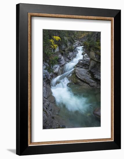 River flowing through Maligne Canyon with autumn foliage, Jasper National Park, UNESCO World Herita-Jon Reaves-Framed Photographic Print