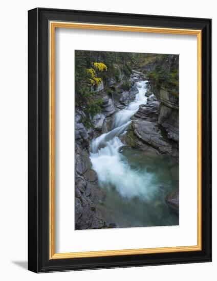 River flowing through Maligne Canyon with autumn foliage, Jasper National Park, UNESCO World Herita-Jon Reaves-Framed Photographic Print