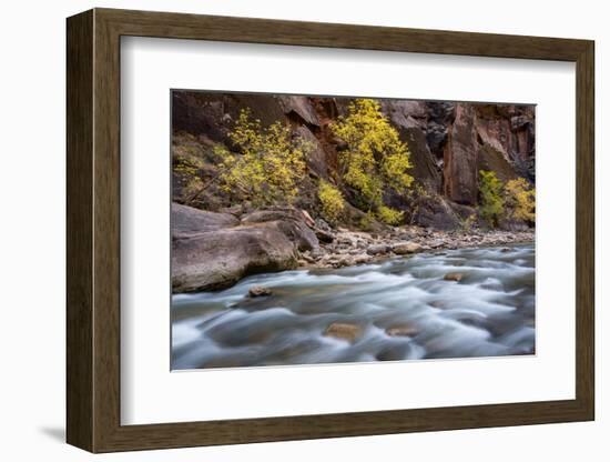 River flowing through rocks, Zion National Park, Utah, USA-null-Framed Photographic Print