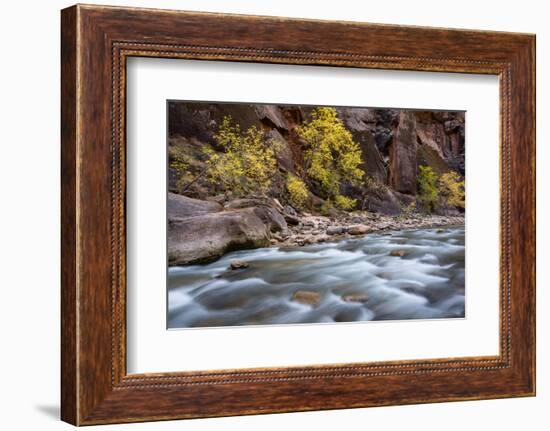 River flowing through rocks, Zion National Park, Utah, USA-null-Framed Photographic Print