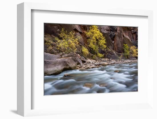 River flowing through rocks, Zion National Park, Utah, USA-null-Framed Photographic Print