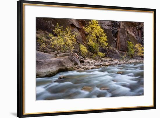 River flowing through rocks, Zion National Park, Utah, USA-null-Framed Photographic Print