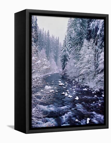 River flowing through snow covered forest, North Santiam River, Willamette National Forest, Lane...-null-Framed Premier Image Canvas