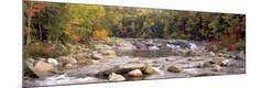 Premium Photographic Print