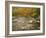 River Flowing Trough Forest in Autumn, White Mountains National Forest, New Hampshire, USA-Adam Jones-Framed Photographic Print