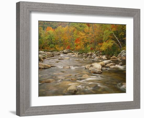 River Flowing Trough Forest in Autumn, White Mountains National Forest, New Hampshire, USA-Adam Jones-Framed Photographic Print