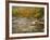 River Flowing Trough Forest in Autumn, White Mountains National Forest, New Hampshire, USA-Adam Jones-Framed Photographic Print