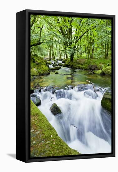 River Fowey, Goliath Falls, Looe, Cornwall, England, United Kingdom, Europe-Kav Dadfar-Framed Premier Image Canvas