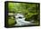 River Fowey, Goliath Falls, Looe, Cornwall, England, United Kingdom, Europe-Kav Dadfar-Framed Premier Image Canvas