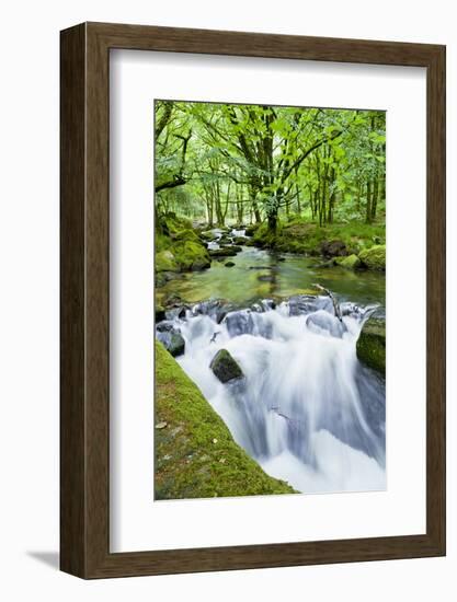 River Fowey, Goliath Falls, Looe, Cornwall, England, United Kingdom, Europe-Kav Dadfar-Framed Photographic Print