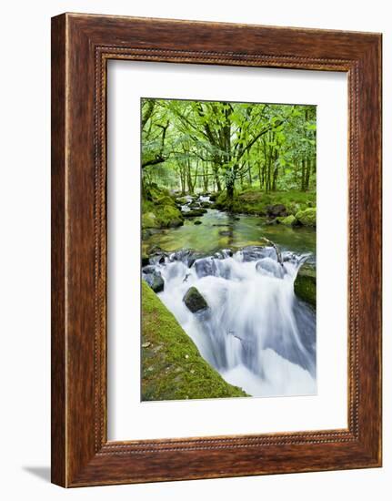 River Fowey, Goliath Falls, Looe, Cornwall, England, United Kingdom, Europe-Kav Dadfar-Framed Photographic Print