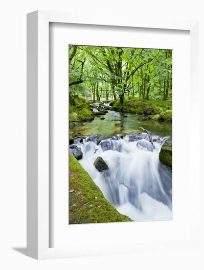 River Fowey, Goliath Falls, Looe, Cornwall, England, United Kingdom, Europe-Kav Dadfar-Framed Photographic Print