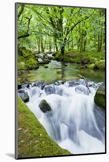 River Fowey, Goliath Falls, Looe, Cornwall, England, United Kingdom, Europe-Kav Dadfar-Mounted Photographic Print