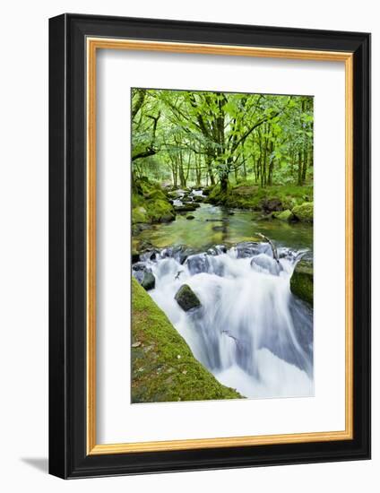 River Fowey, Goliath Falls, Looe, Cornwall, England, United Kingdom, Europe-Kav Dadfar-Framed Photographic Print