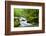 River Fowey, Goliath Falls, Looe, Cornwall, England, United Kingdom, Europe-Kav Dadfar-Framed Photographic Print