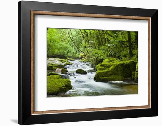 River Fowey, Goliath Falls, Looe, Cornwall, England, United Kingdom, Europe-Kav Dadfar-Framed Photographic Print