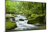 River Fowey, Goliath Falls, Looe, Cornwall, England, United Kingdom, Europe-Kav Dadfar-Mounted Photographic Print