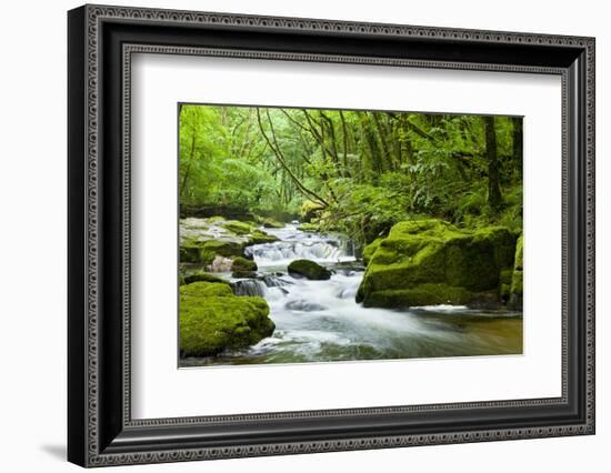 River Fowey, Goliath Falls, Looe, Cornwall, England, United Kingdom, Europe-Kav Dadfar-Framed Photographic Print