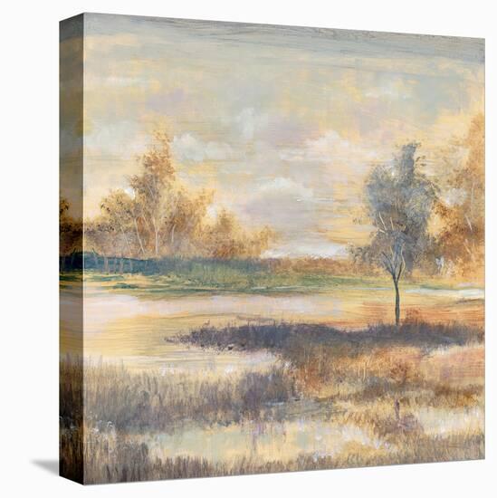 River Glade II-Augustine-Framed Stretched Canvas