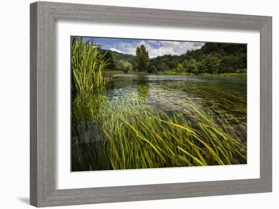 River Grass Sways Underwater In The Crystal Clear Una River In Bosnia Herzegovina-Karine Aigner-Framed Photographic Print