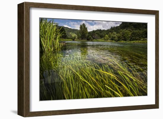 River Grass Sways Underwater In The Crystal Clear Una River In Bosnia Herzegovina-Karine Aigner-Framed Photographic Print