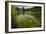 River Grass Sways Underwater In The Crystal Clear Una River In Bosnia Herzegovina-Karine Aigner-Framed Photographic Print