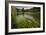 River Grass Sways Underwater In The Crystal Clear Una River In Bosnia Herzegovina-Karine Aigner-Framed Photographic Print