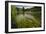 River Grass Sways Underwater In The Crystal Clear Una River In Bosnia Herzegovina-Karine Aigner-Framed Photographic Print